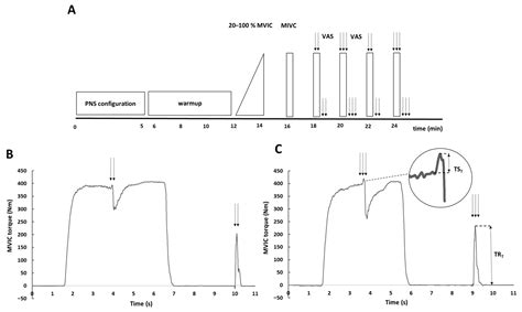 Perceived Discomfort and Voluntary Activation of Quadriceps Muscle ...