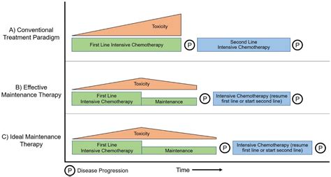 Maintenance Treatment for Metastatic Pancreatic Cancer: Balancing ...