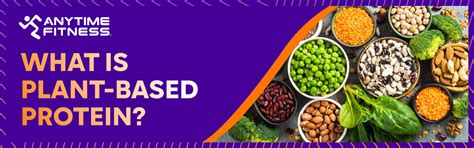 What-is-Plant-based-Protein - Anytime Fitness