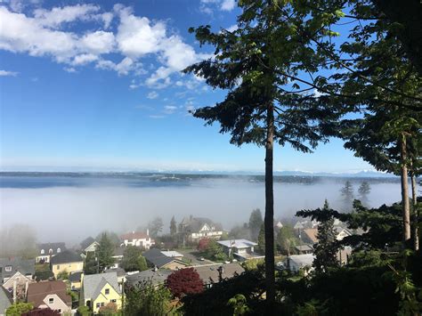 Neighborhood Spotlight: South Hill in Bellingham, WA — Krista Kenner