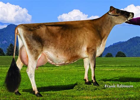 Boon - Genus ABS India