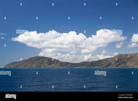 Cook Strait 的图像结果