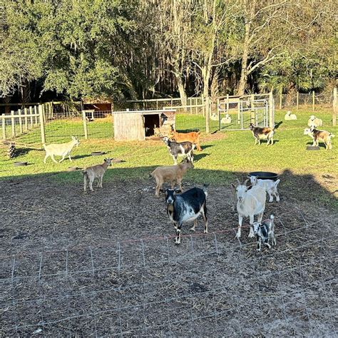 COLLINS FARM (2026) All You Need to Know BEFORE You Go (with Photos ...