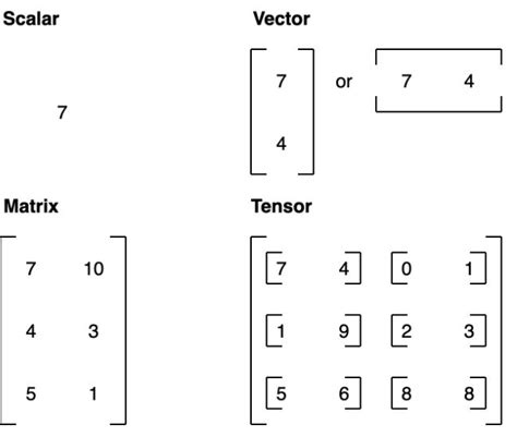 Image result for Pytorch Type