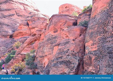 Elephant Arch in Red Cliffs National Conservation Area Wilderness and ...