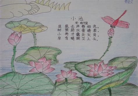 以小池为主题的诗配画简单又好看模板，杨万里小池诗配画超好画教程 - 天天手抄报