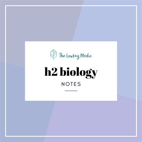 A-Level H2 Biology Notes - FREE - The Lowkey Medic