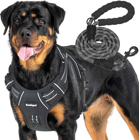 Reddy Canvas Dog Harness Small UPC 800443464106 - Reddy Navy Canvas ...