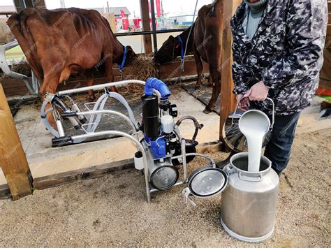 Milking Cows Machine