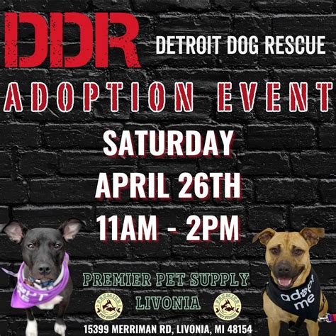Detroit Dog Rescue Adoption Event! , Premier Pet Supply Livonia ...