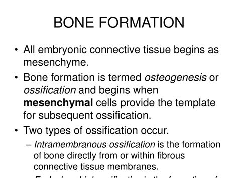 Image result for Bone Tissue Formation