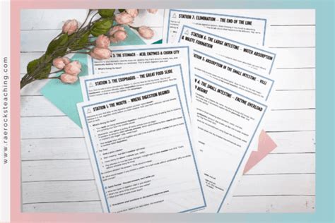 Image result for Digestive System Fun Activities