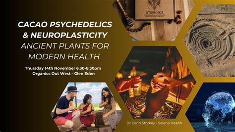 Ceremonial Cacao, psychedelics, and neuroplasticity - ancient plants ...