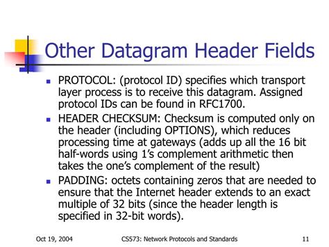 Datagram Header 的图像结果