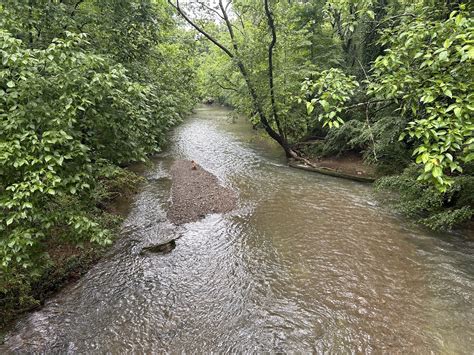 A Stroll Through Serenity: Discovering the Charms of Nashville's ...