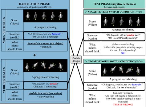 “Look! It is not a bamoule!” 18- and 24-month-olds can use negative ...