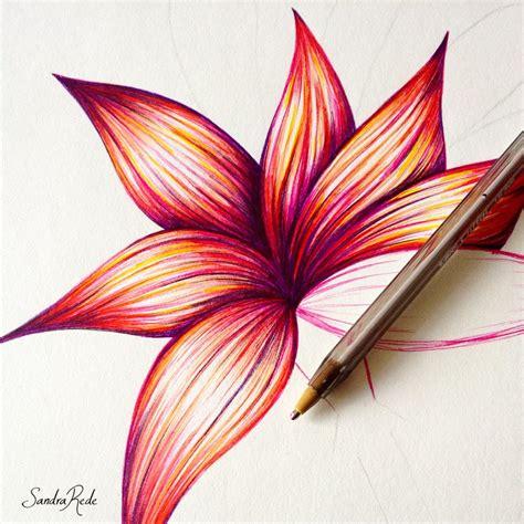 sandrarede | Colorful drawings, Drawings, Ballpoint pen drawing