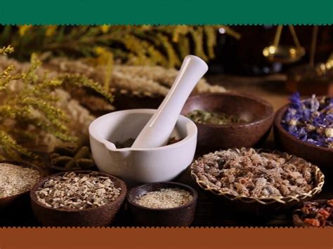 Fight right: Decoding immunity - Times of India