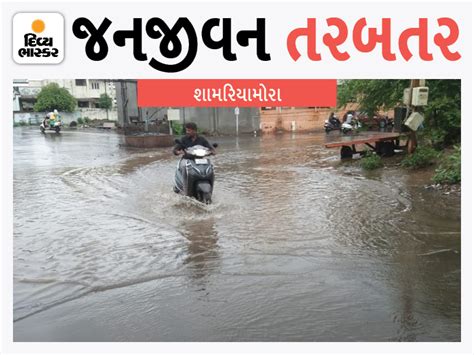 ઉધનામાં 8 ઇંચ, વરાછામાં 6 ઇંચ ખાબક્યો, કોઝવે-ખાડીઓ ઓવરફ્લો થવાના આરે ...