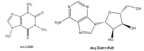 மருந்துப் பொருட்கள் - வகைப்பாடு, இலக்கு அமைப்பின் அடிப்படையில் ...