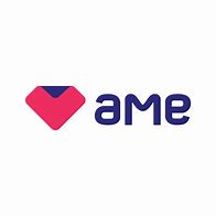 Image result for AmE