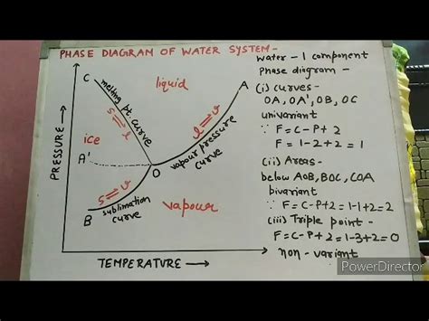 Image result for Gibbs Phase Rule Explained