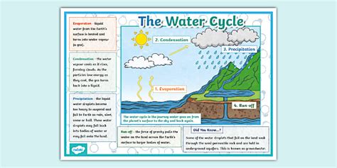 The Water Cycle Information Poster - Twinkl