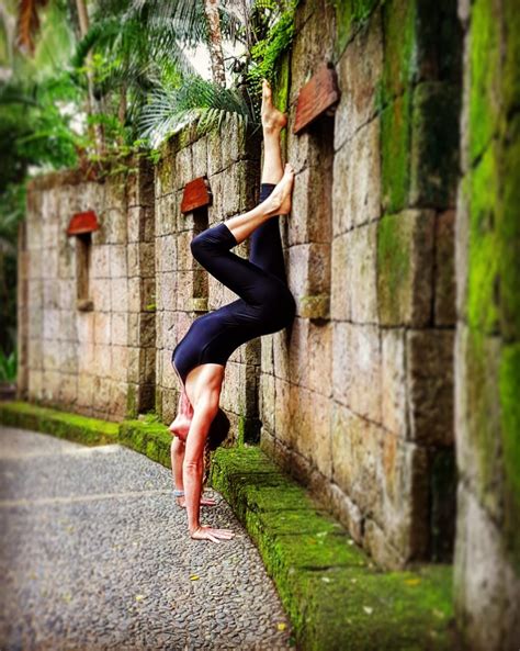 gaia wellness retreats