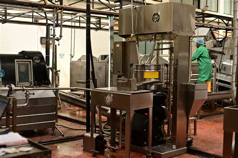 Image result for Small Avocado Vegetable Oil Processing