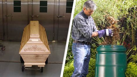 Image result for Compost Autopsy