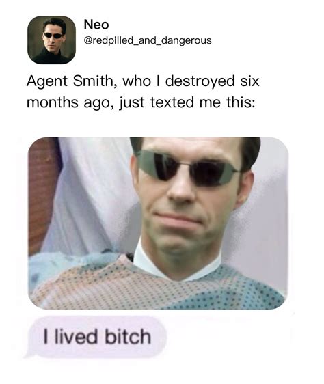 The Media Vixen on Tumblr