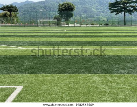 Artificial Turf Soccer Field 的图像结果