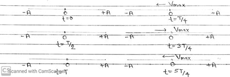 Image result for Simple Harmonic Motion