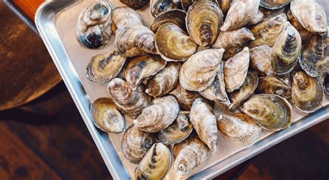 Order Oysters - Savannah Oyster Company