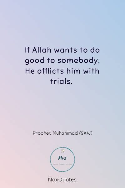 Prophet Muhammad Quotes: Words of Wisdom - NoxQuotes