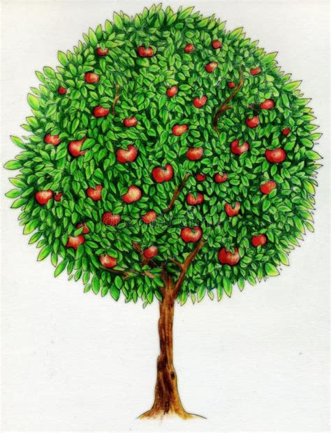 Image result for Simple Apple Tree Drawing