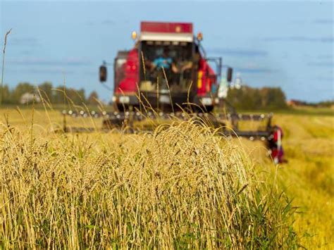 收割 的图像结果