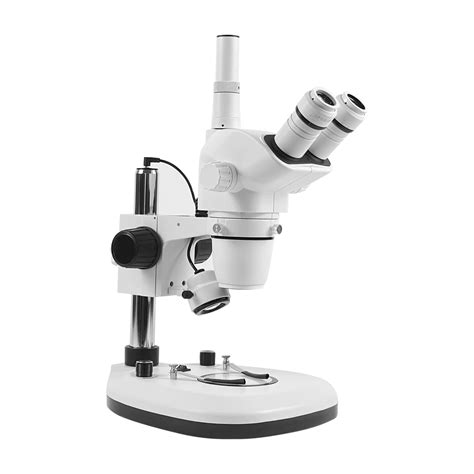 Stereo Microscope 的图像结果