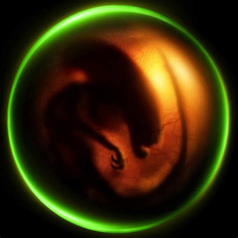 Image result for AlienFX