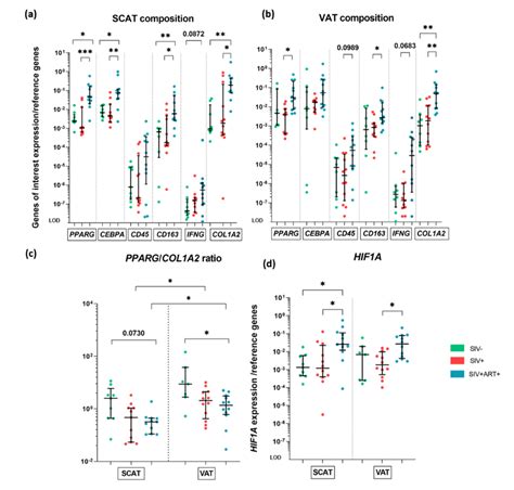 Image result for Anatogram Gene Expression