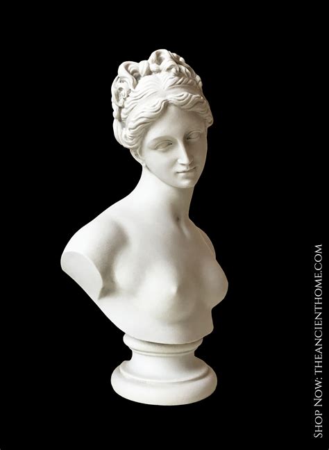Venus Bust Sculpture - Goddess of Love | Bust sculpture, Roman ...