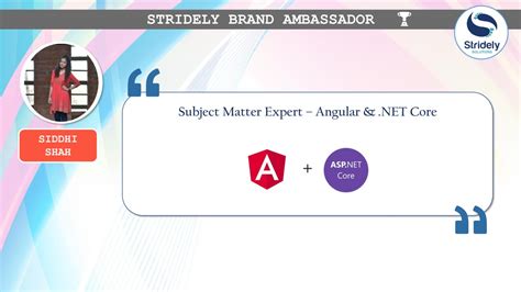Image result for Angular Programming .NET Ninja