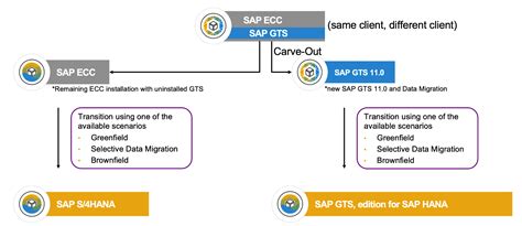 Image result for SAP GTS Implementation Guide
