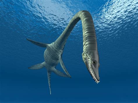 Real Prehistoric Sea Monsters