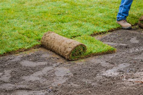 Optimizing Your Irrigation Schedule: How to Water New Sod - Sprinkler ...