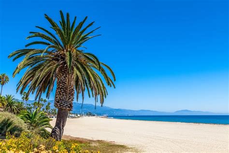 13 Best Beaches in Santa Barbara | Celebrity Cruises