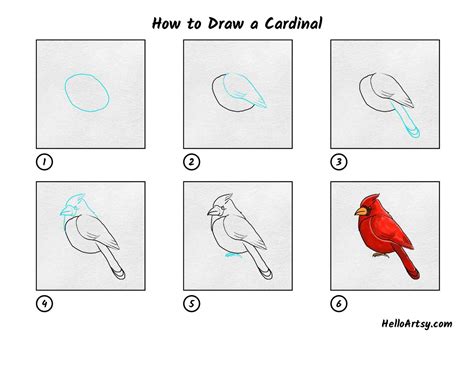 How to Draw a Cardinal - HelloArtsy