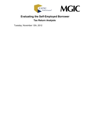 Fillable Online Evaluating the SelfEmployed Borrower Tax Return ...