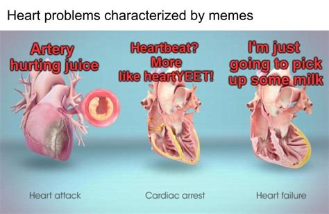 Had to beat the cross-posters to m own meme : r/memes