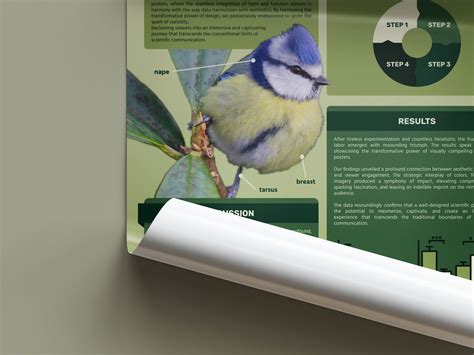 Science Poster Template 的图像结果